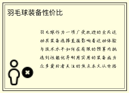 羽毛球装备性价比